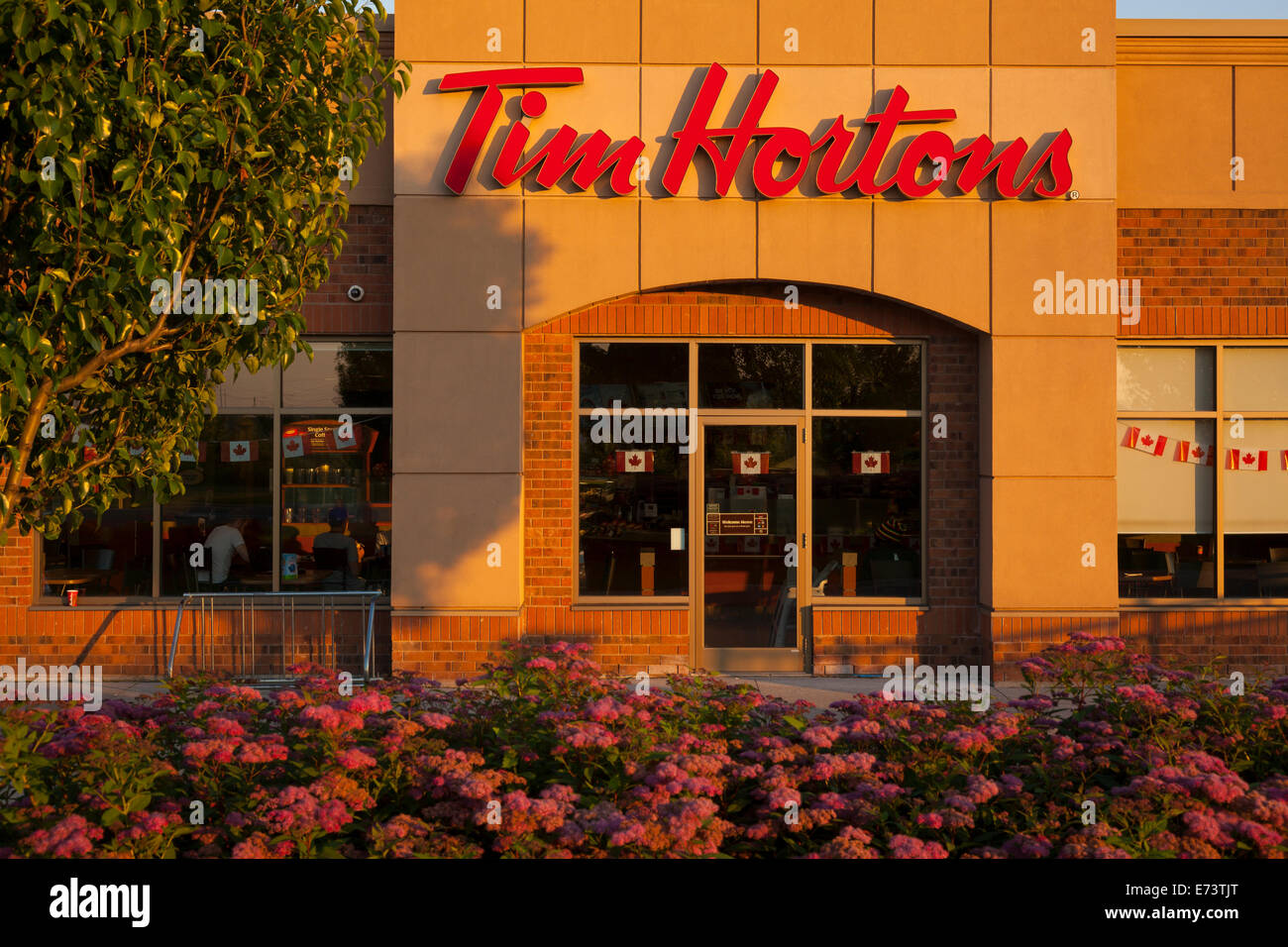 Un recto por disparo de un Tim Hortons storefront en Whitby, Ontario, Canadá. Foto de stock