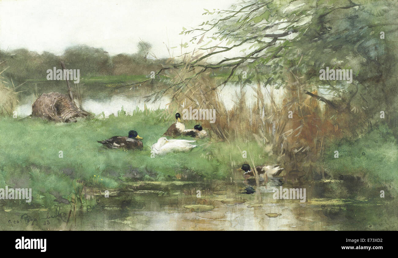 Los Patos en el agua - por Geo Poggenbeek, 1888 Foto de stock