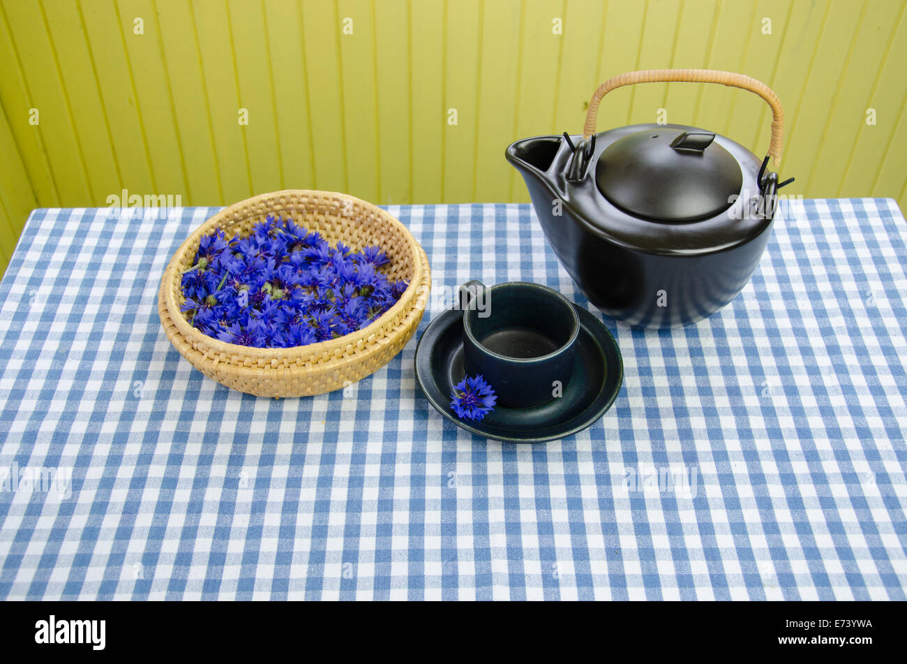 Mañana curación aromáticas frescas aciano juego de té en la mesa Foto de stock