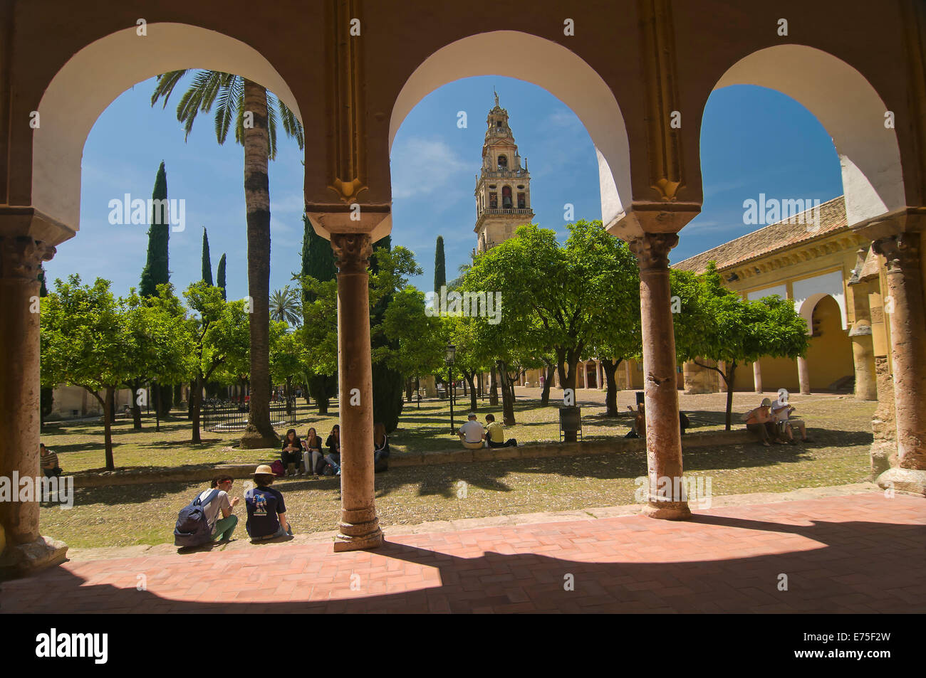 La gran mezquita y el Patio de los Naranjos, Córdoba, región de Andalucía, España, Europa Foto de stock