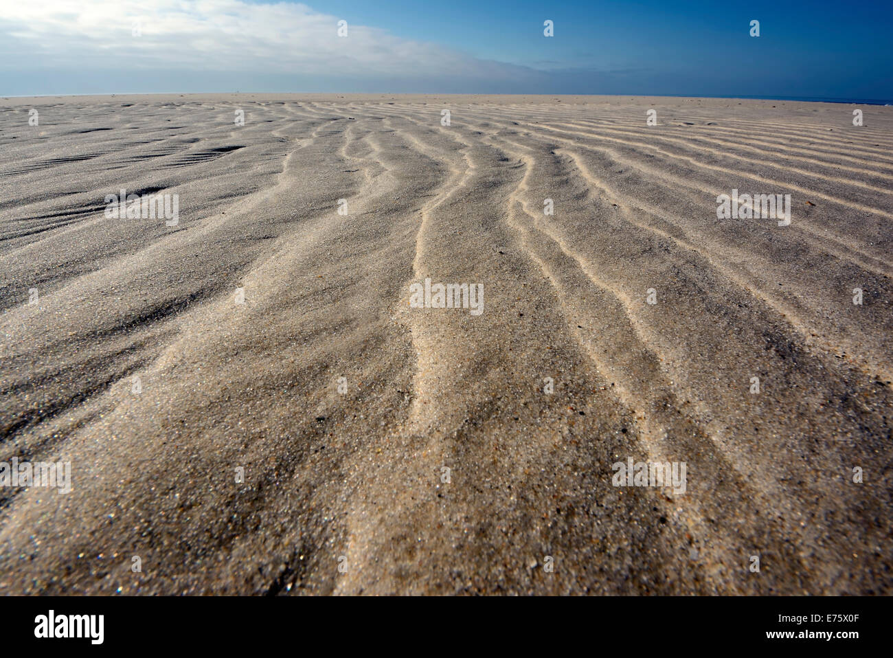 Los patrones de rizado de arena en la playa, cerca de Hvide Sande, de Jutlandia, Dinamarca Foto de stock