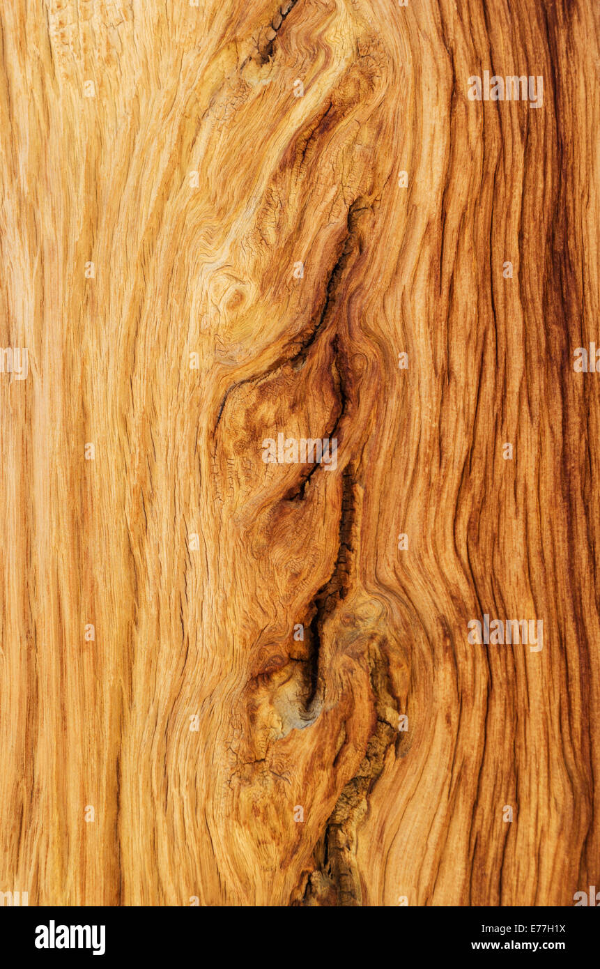 Ensuciándose las vetas de la madera de abeto alpino Foto de stock