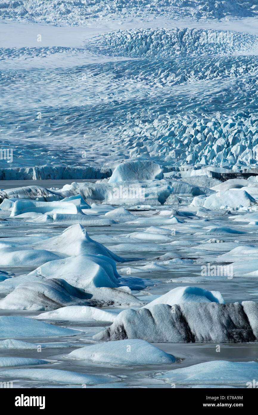 El glaciar Vatnajokull descendente al nivel del mar, al este de Islandia Fjallsarlon, Foto de stock