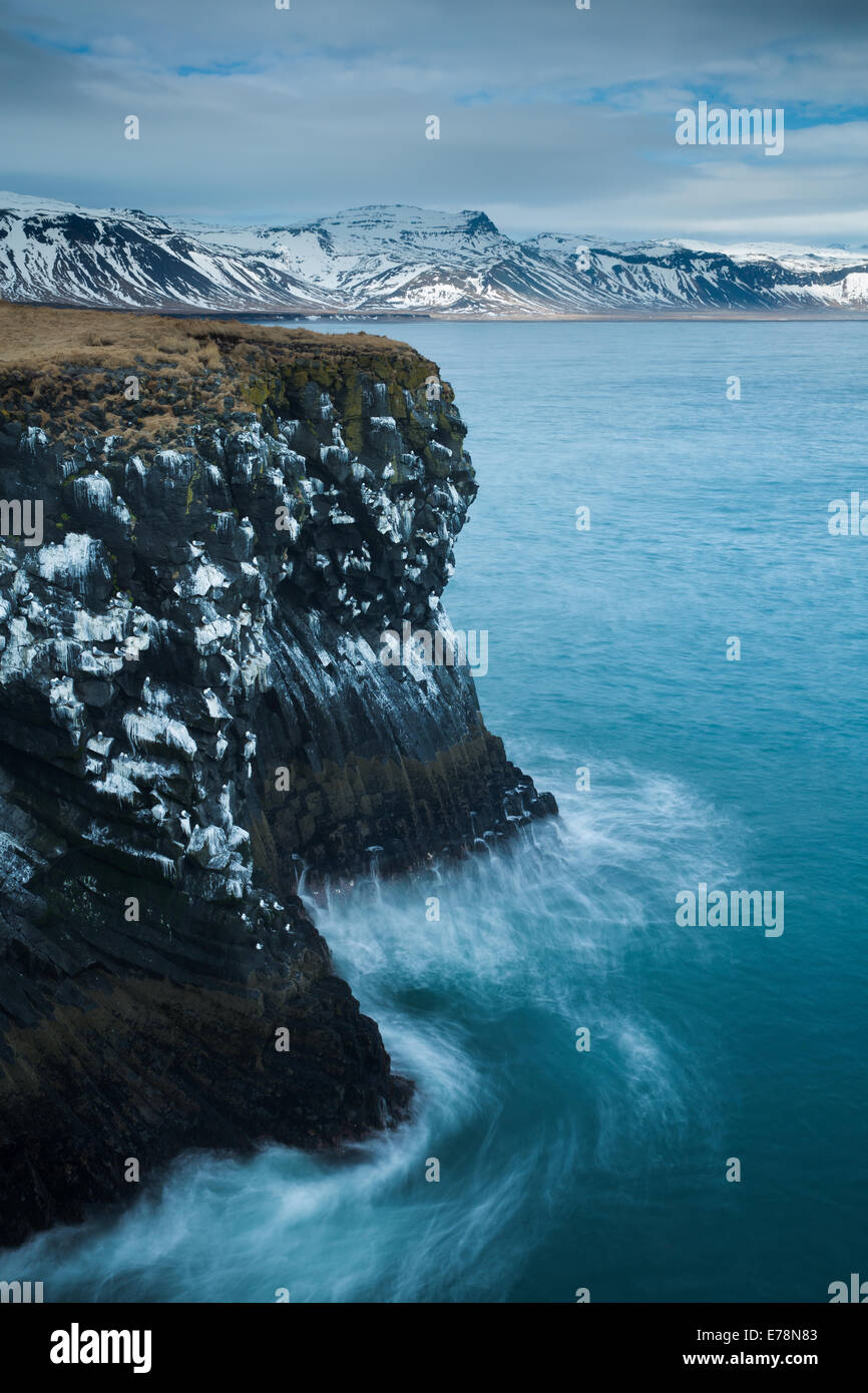 Los acantilados, regado con el guano de los kittiwakes haciendo en la costa nr Arnastapi, la península de Snaefellsnes, en el oeste de Islandia Foto de stock