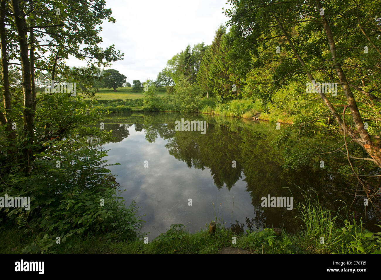 Basto estanque en inglés granja con bosques circundantes y el azul del cielo reflejado en la calma superficie del espejo de agua Foto de stock