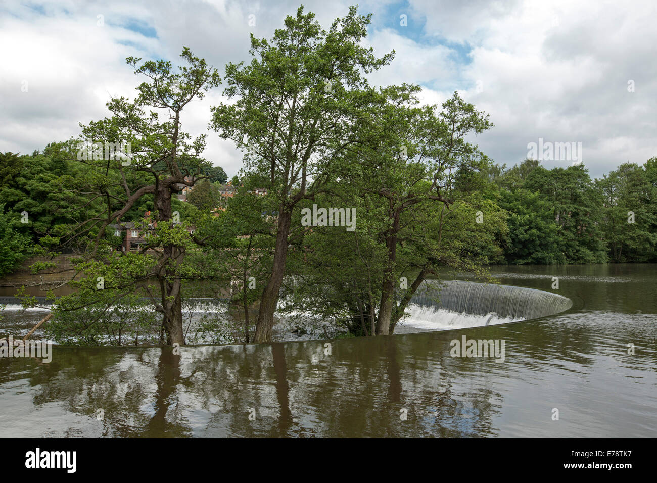 Río Derwent se extendieran con forma de herradura, weir en pueblo inglés de Belper con árboles de ribera se refleja en aguas tranquilas Foto de stock
