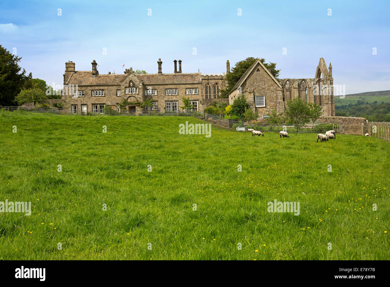 Enorme e imponente casa solariega inglesa, Bolton Abbey histórico rodeado por campos de hierba esmeralda con el pastoreo ovino Foto de stock