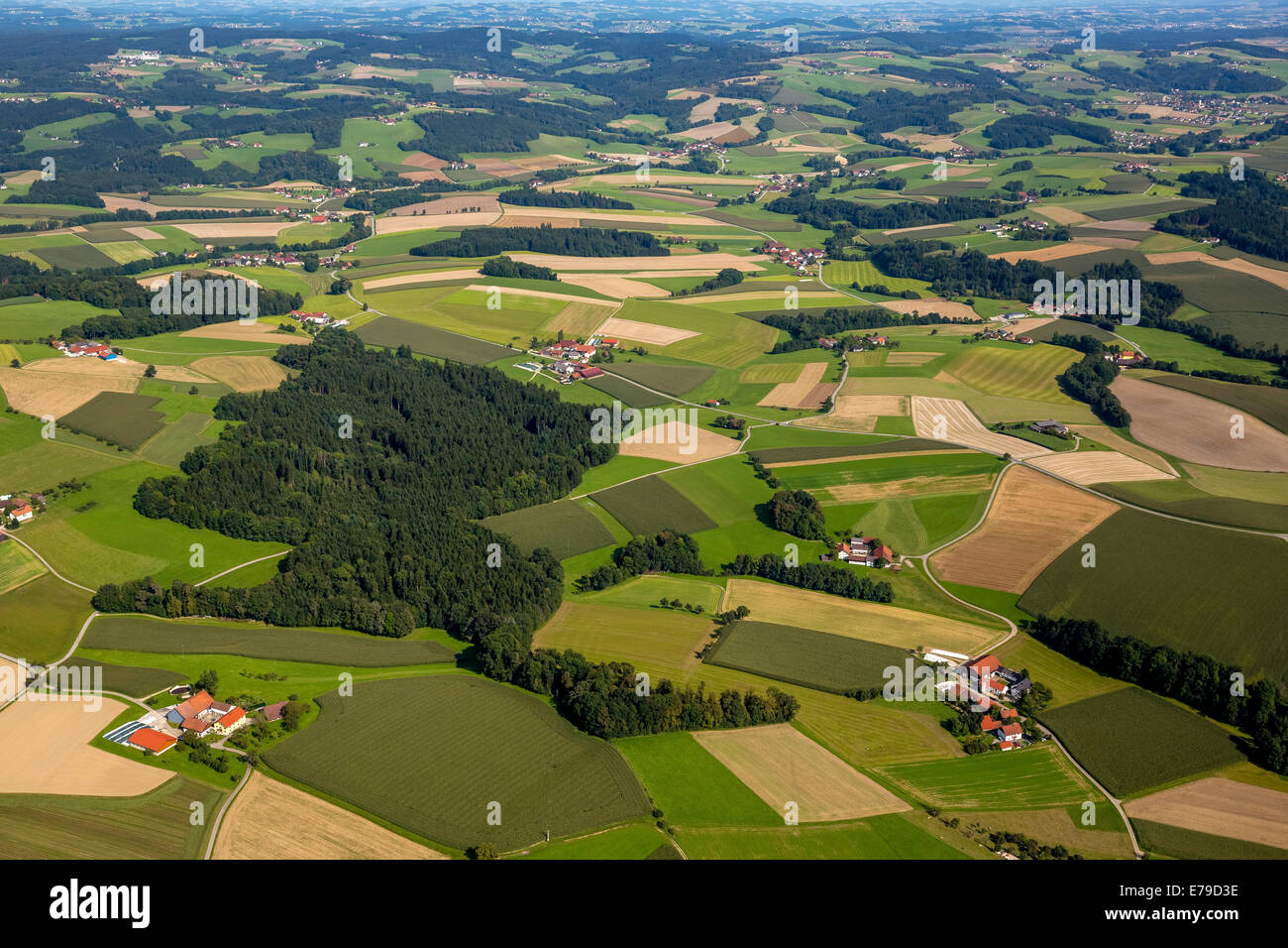 Vista aérea, campos y prados alpinos, upland, Edenwiesen, Upper Austria, Austria Foto de stock