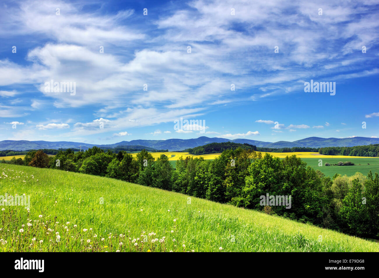 Rychlebske montañas, desde la colina Hrouda, Velka Kras, distrito, región Olomoucky Jesenik, República Checa Foto de stock