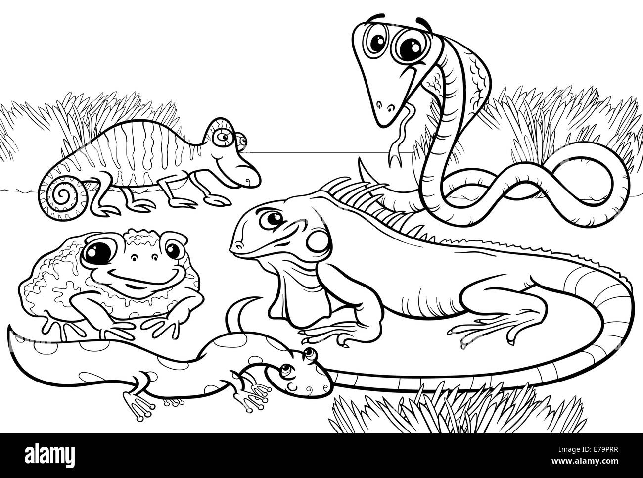 Blanco y negro Ilustraciones de dibujos animados de Reptiles y Anfibios  animales divertidos personajes Grupo para Coloring Book Fotografía de stock  - Alamy