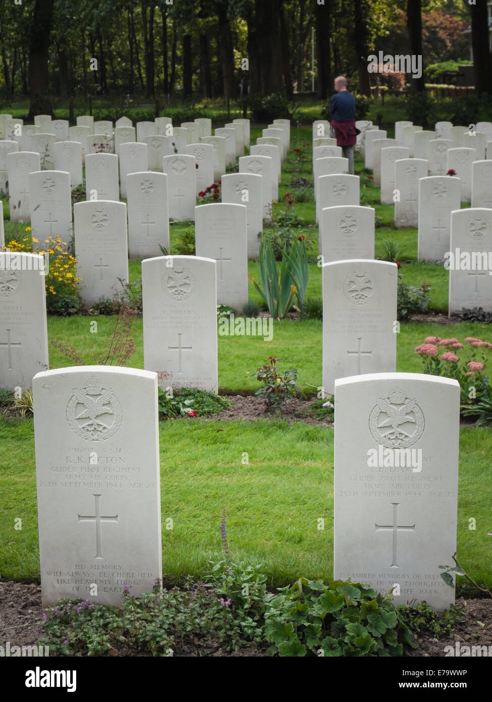 Las tumbas de miembros del regimiento de piloto planeador el Cuerpo Aéreo del Ejército cementerio de guerra aliada de Oosterbeek. Foto de stock