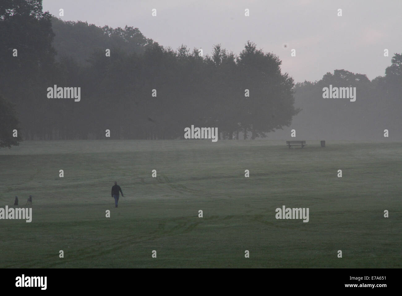 Oxford, Reino Unido. El 11 de septiembre de 2014. xford, Inglaterra el 11 de septiembre de 2014. Un hombre camina su perro en South Park, Oxford. Crédito: petericardo lusabia/Alamy Live News Foto de stock