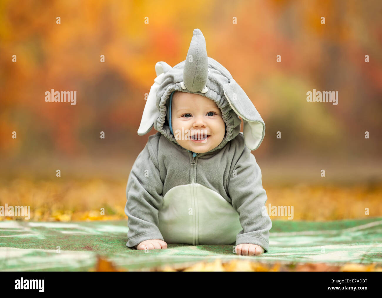 Baby Boy vestido con traje de elefante en el parque de otoño Fotografía de  stock - Alamy