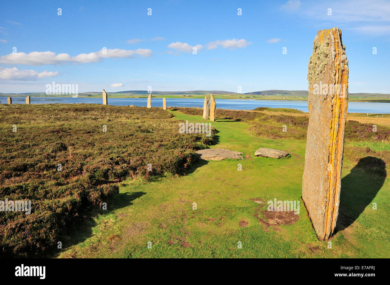 Anillo de Brodgar, neolítico y Stone Henge círculo, Continental, las Islas Orcadas, Escocia, Reino Unido Foto de stock