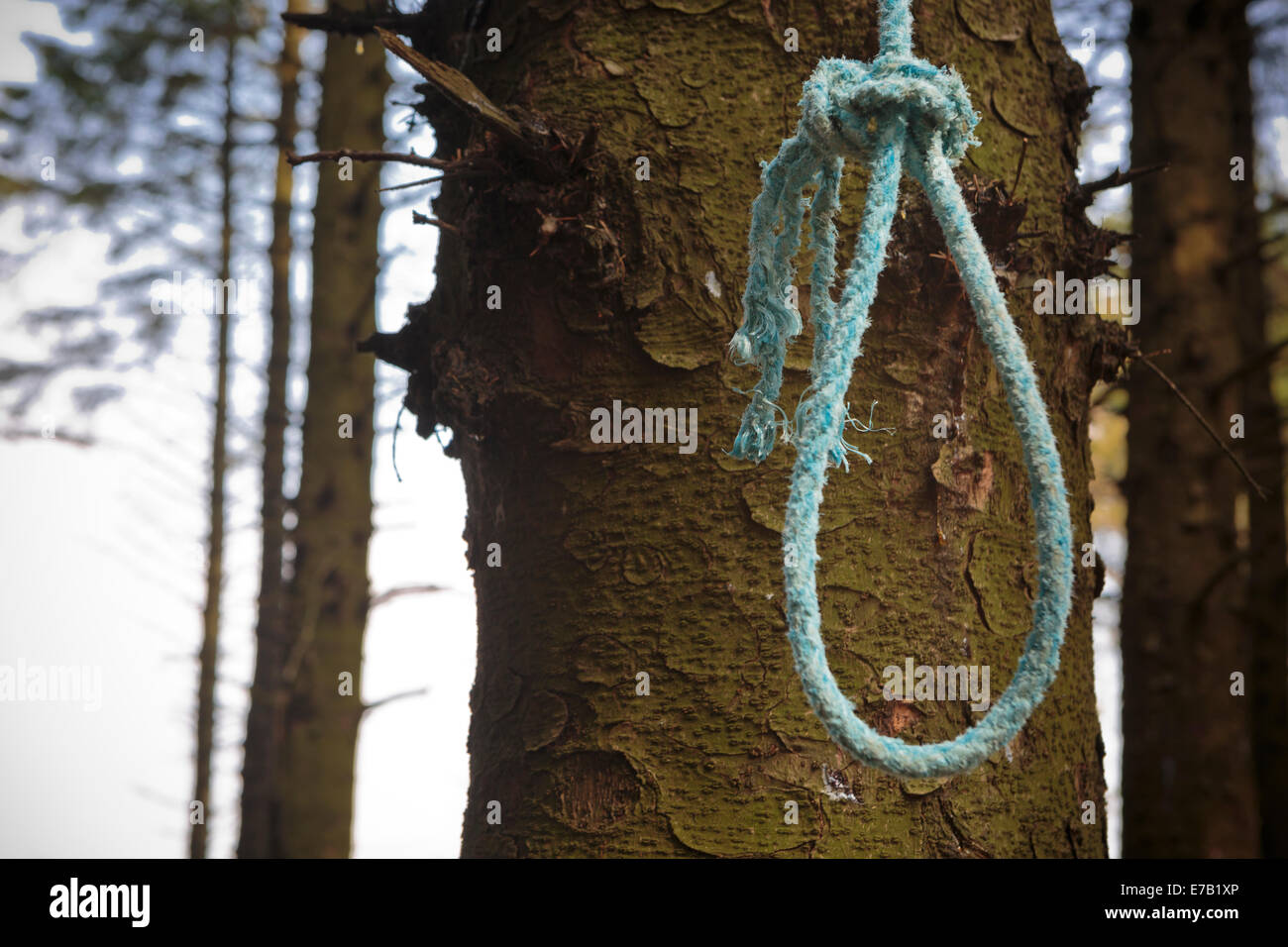 Alce colgado en el árbol hangares muerte suicidio cuerda matar