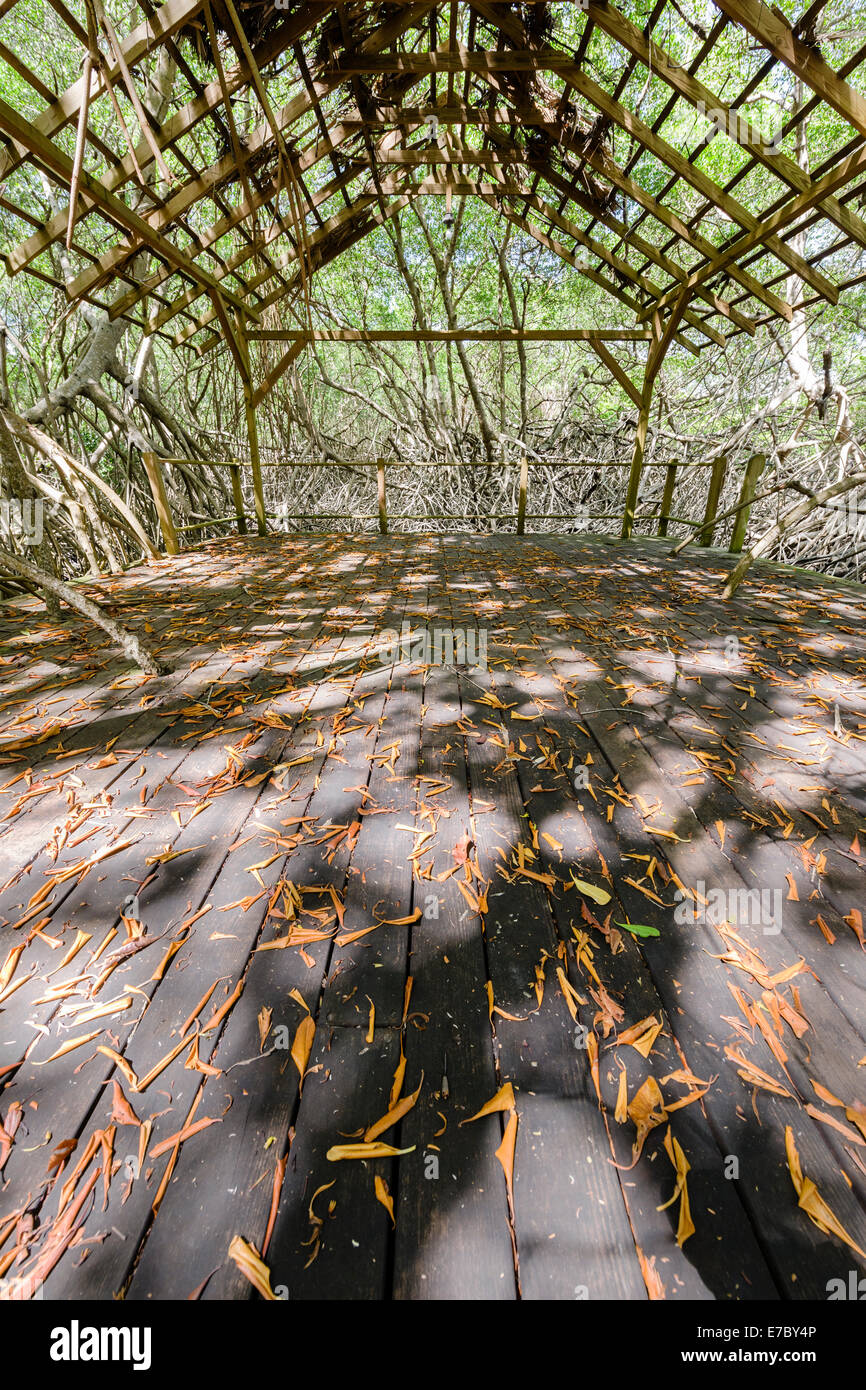 Un quiosco en el bosque de manglar de Petit Trou laguna cerca de Tobago ...
