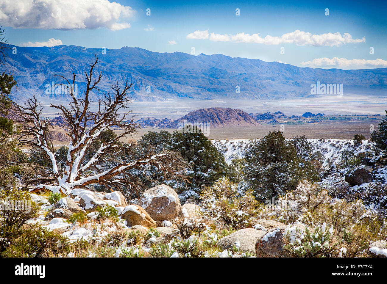 Nieve de primavera en la parte oriental de la cordillera de Sierra Nevada. California, EE.UU. Foto de stock