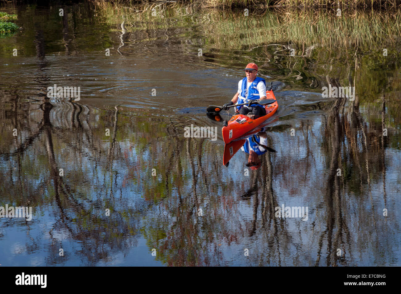 Hombre de mediana edad remando un kayak rojo naranja en tranquilas aguas creek vestido de azul chaleco salvavidas y gorra roja. Foto de stock