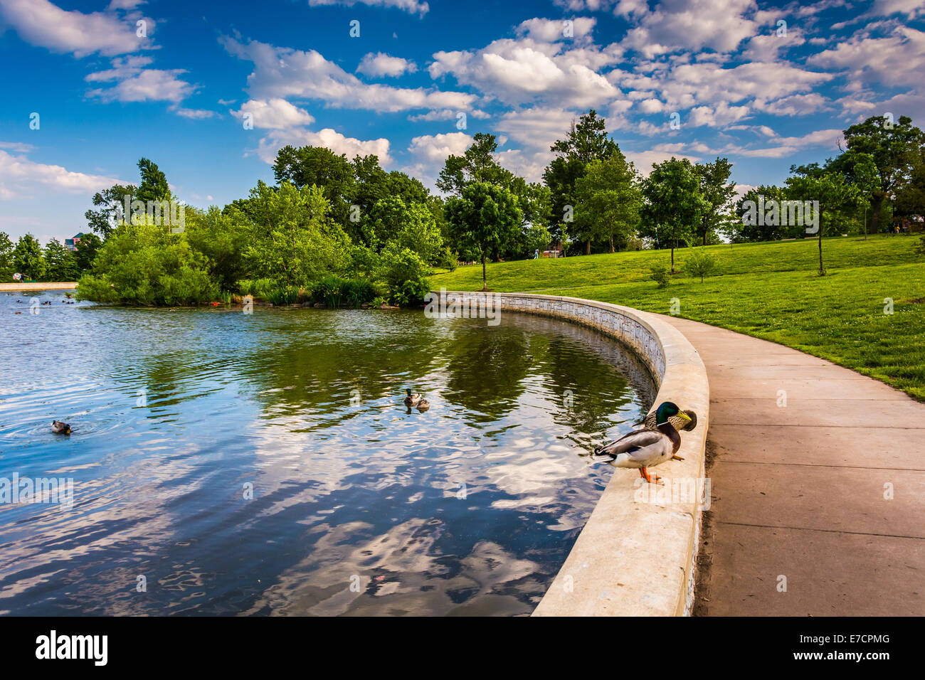 El estanque en Patterson Park en Baltimore, Maryland. Foto de stock