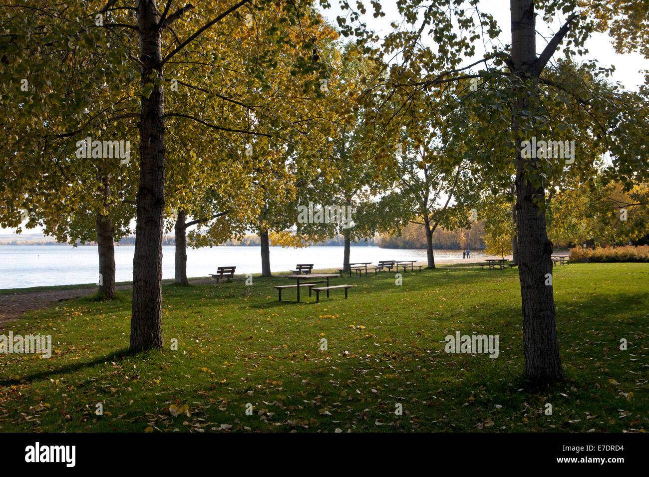 Parque provincial del lago gregoire fotografías e imágenes de alta