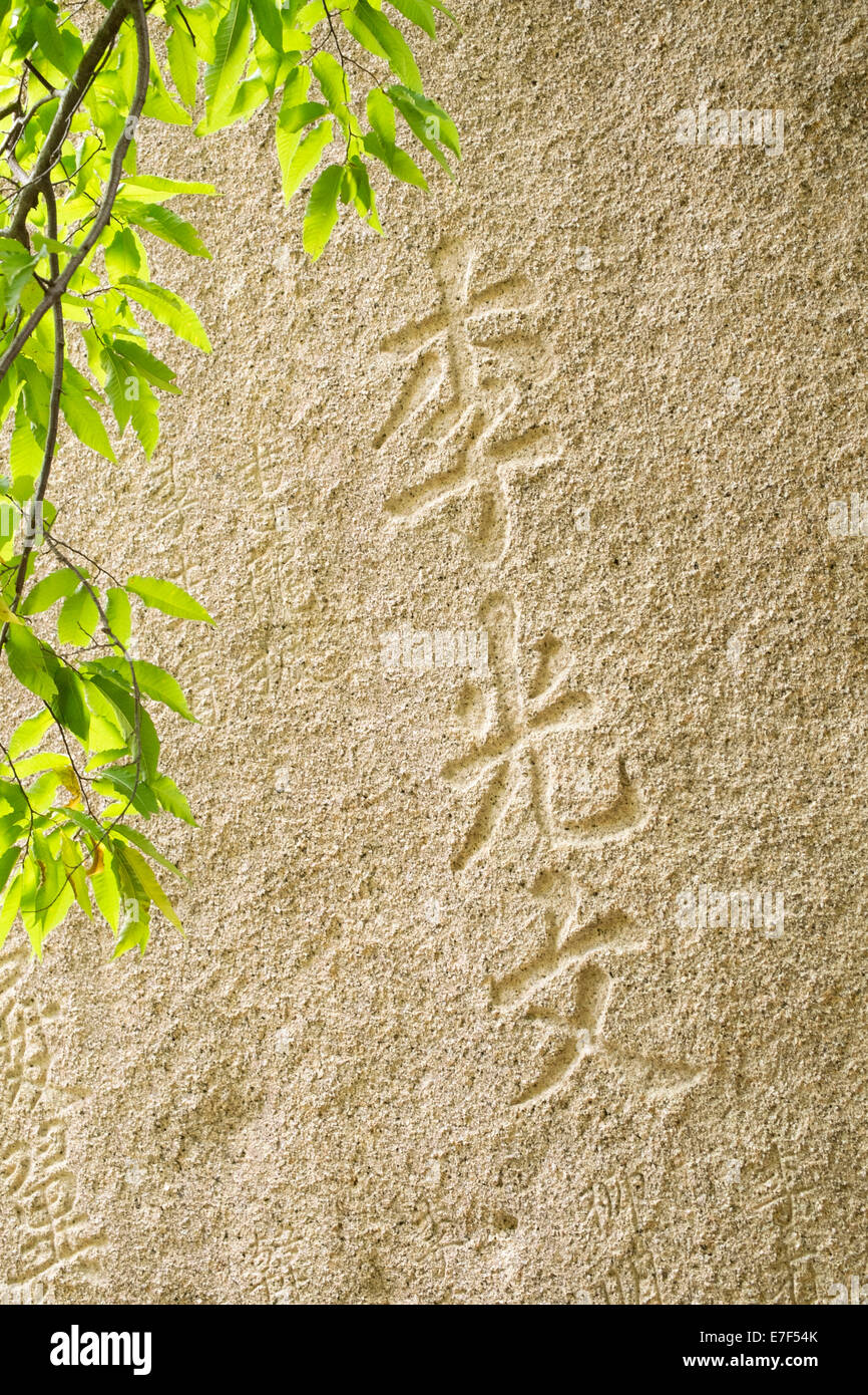 Caracteres chinos, grabado de piedra bajo un dosel disperso en el templo Singheunsa, Parque Nacional de Seoraksan Sokcho, Corea del Sur Foto de stock