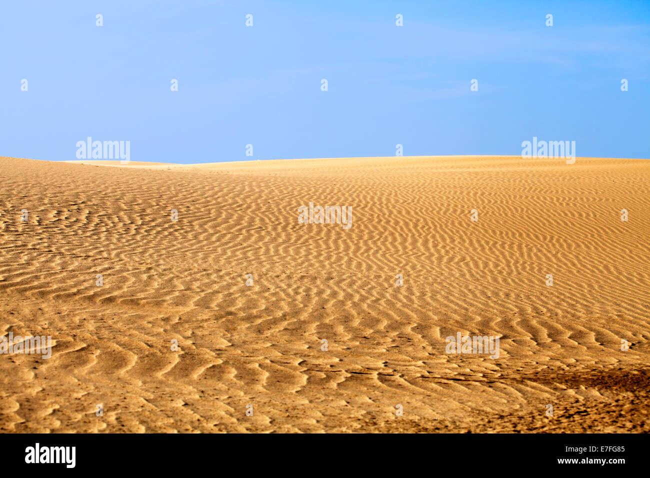 Desierto de Arena y el azul claro del cielo en un día caliente Foto de stock