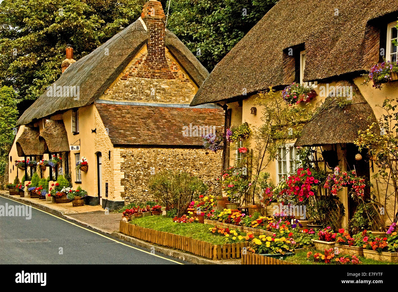 Casas rurales en la aldea de Lulworth en Dorset, con techos de paja y  coloridas canastas colgantes en el exterior Fotografía de stock - Alamy
