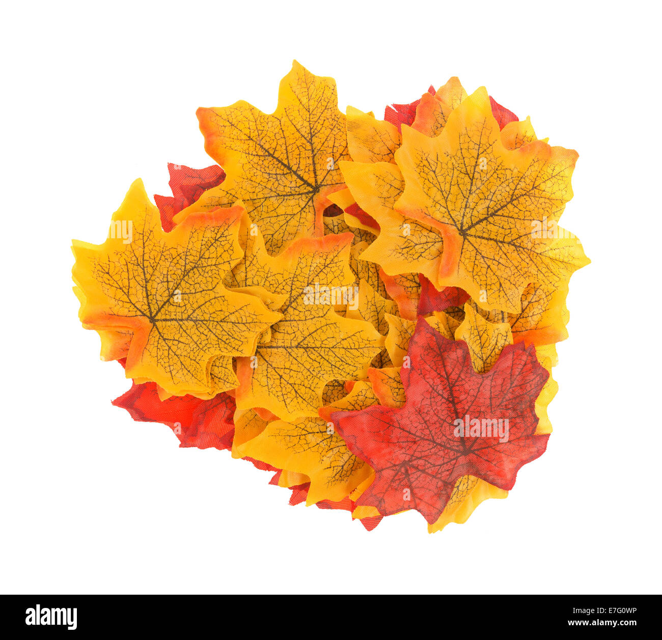 Un grupo de rojo y amarillo otoño artificial deja aislado sobre un fondo blanco. Foto de stock