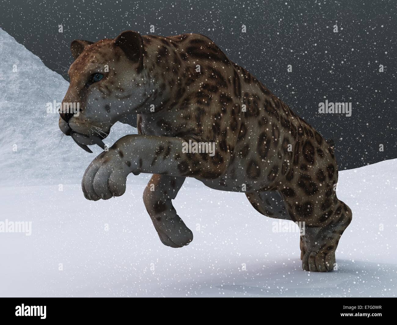 Diente de sable gato fotografías e imágenes de alta resolución - Alamy