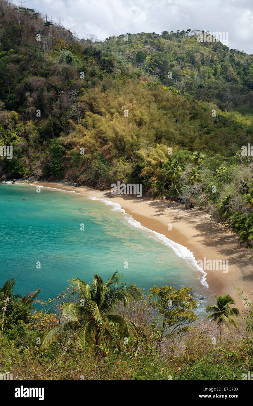 Playa de arena, la Bahía de Parlatuvier, Tobago, Trinidad y Tobago Foto de stock