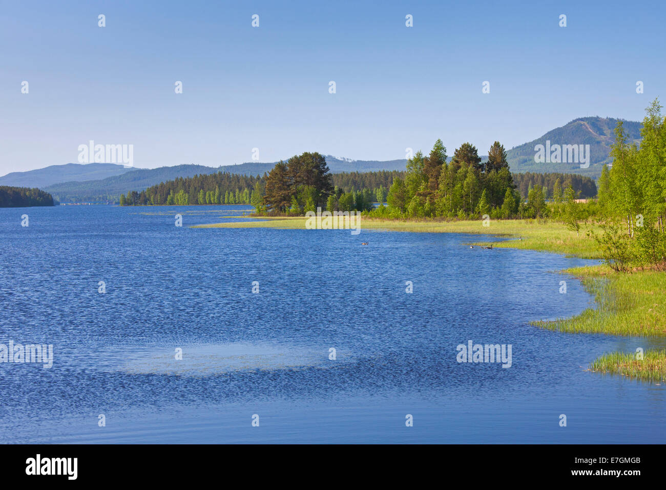 El lago Siljan en verano, Dalarna, Suecia Foto de stock