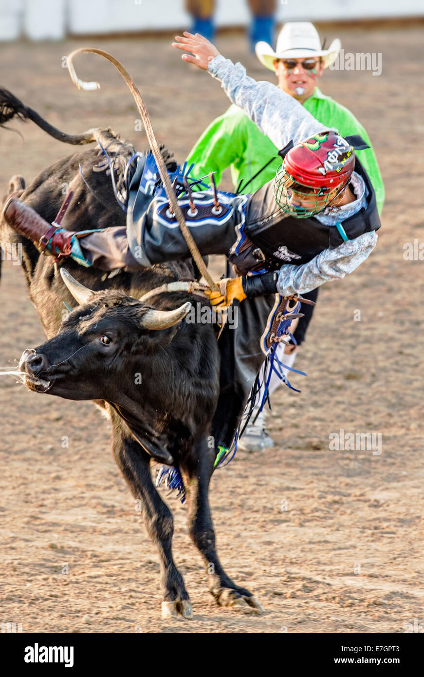 Joven Vaquero montando un toro en el Junior Steer, competencia de equitación Chaffee County Fair & Rodeo Foto de stock