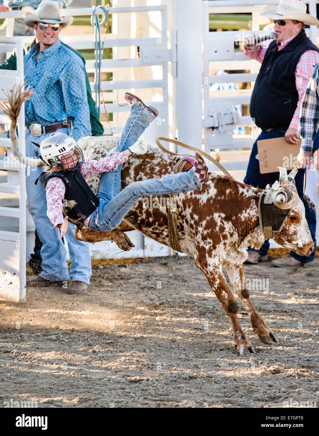 Los jóvenes cowgirl montando un toro en el Junior Steer, competencia de equitación Chaffee County Fair & Rodeo Foto de stock
