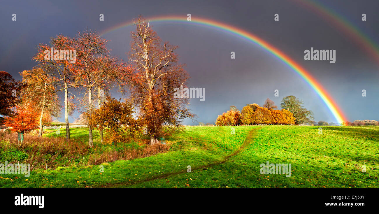 Espectacular doble arco iris sobre el Otoño Bosquecillo, cerca de Alnwick, Northumberland, Inglaterra, Reino Unido. Foto de stock