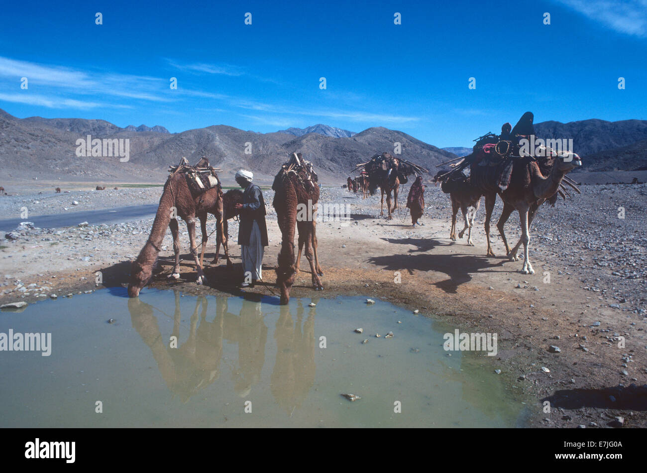Los nómadas del desierto, Bolan Pass, Pakistán Foto de stock