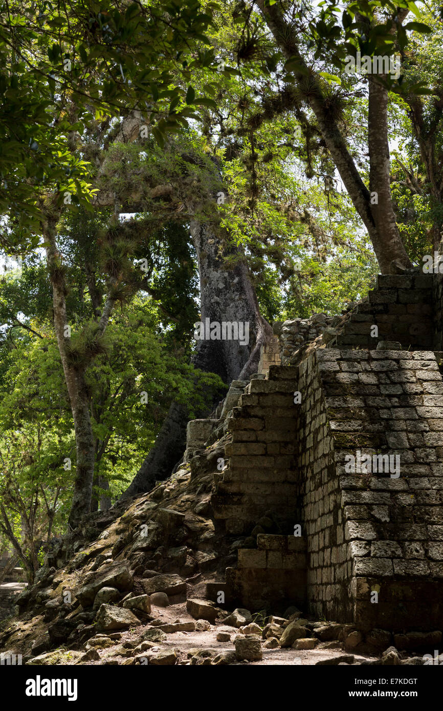 La Gran Plaza, el parque arqueológico de Copán Ruinas, Copán, Honduras