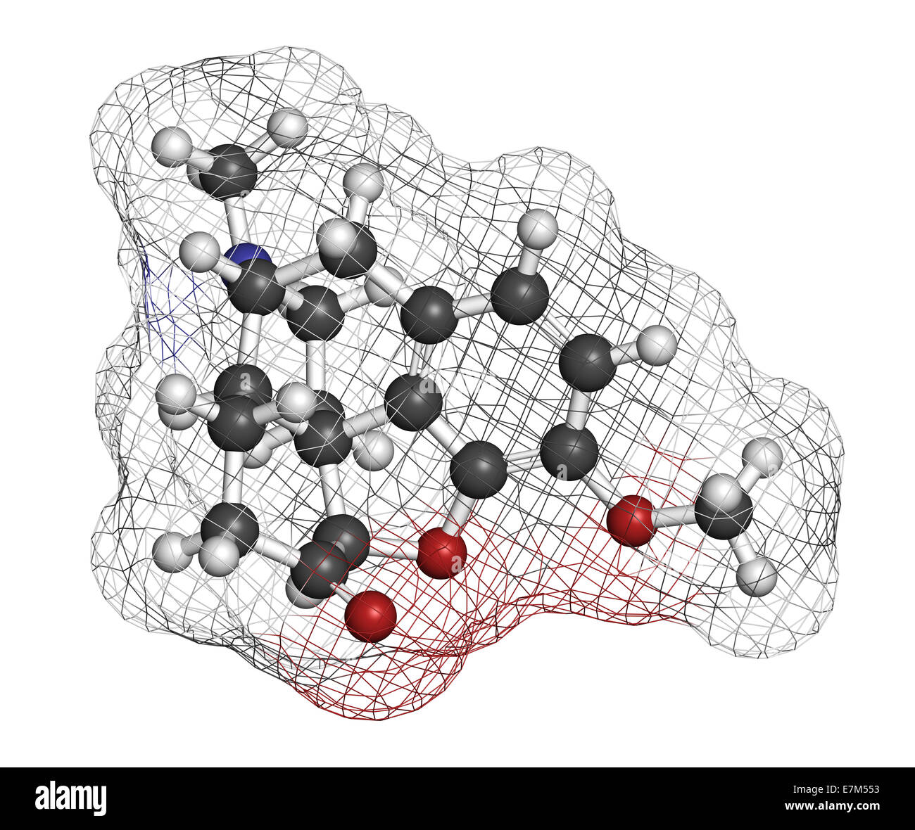 Analgésico narcótico hidrocodona molécula. También se utiliza como medicamento para la tos. Los átomos son representados como esferas convencionales co Foto de stock