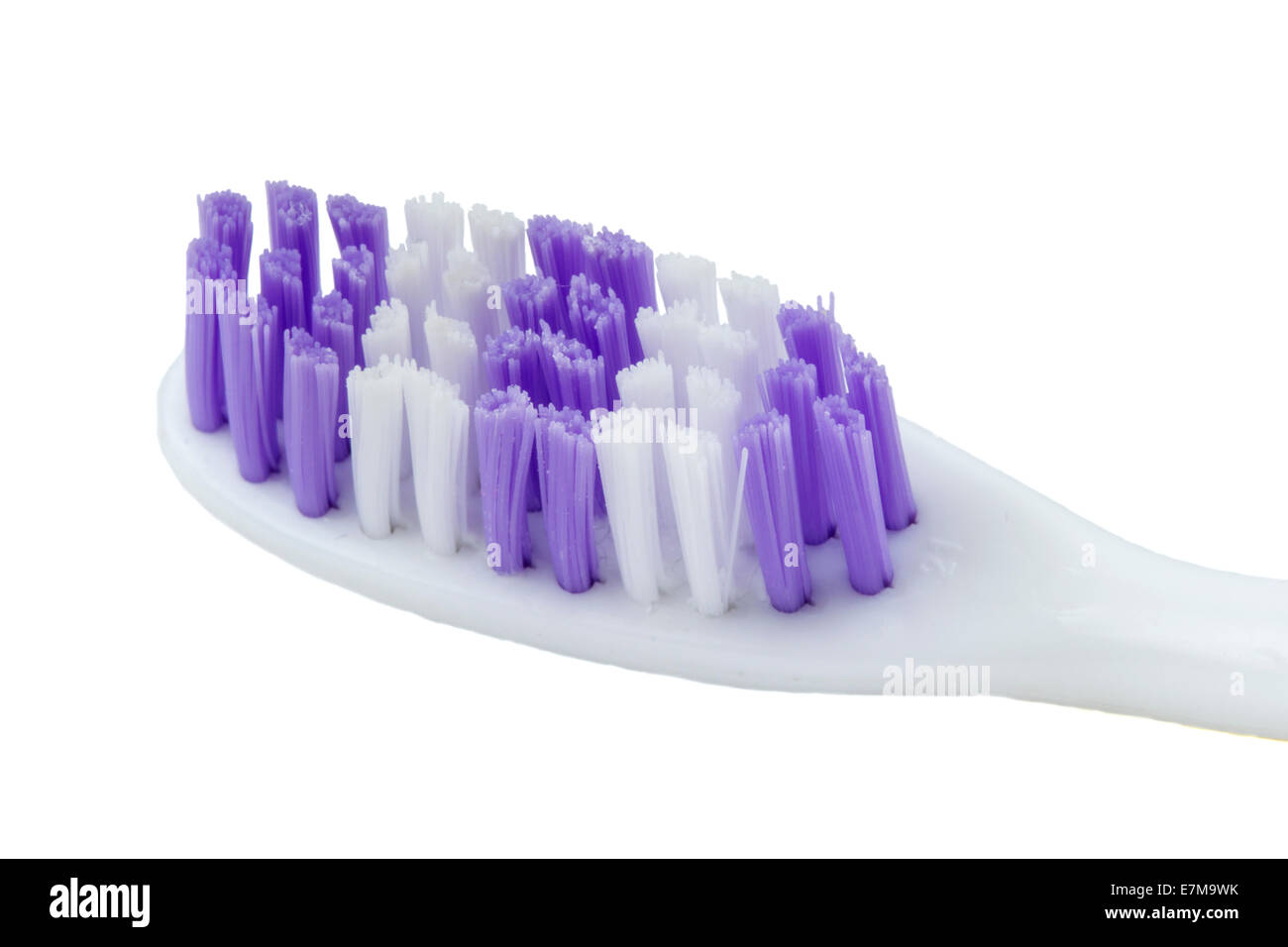 Cepillo de dientes de color malva aislado sobre un fondo blanco. Foto de stock