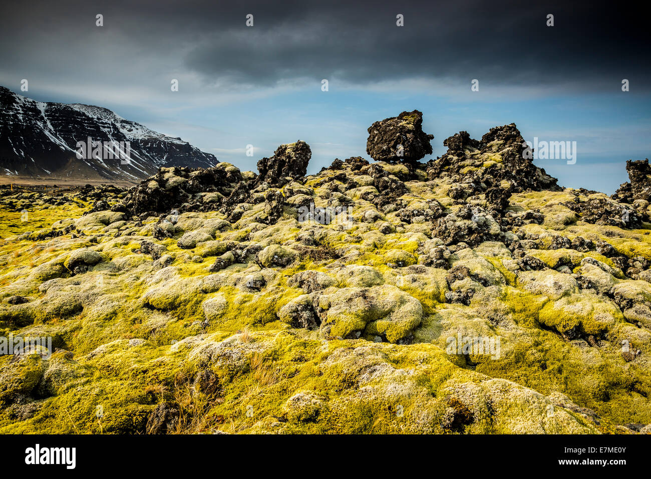 En el campo de lava cubiertas de musgo Berserkjahraun en la península de Snaefellsnes, Vesturland región occidental de Islandia. Foto de stock
