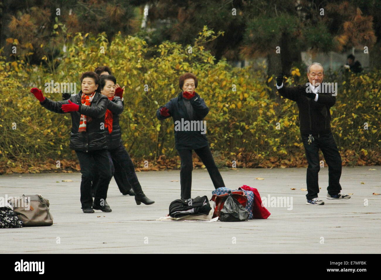 El pueblo chino practicando tai chi en el Parc de la Villette Cité des Sciences et de l'Industrie, Paris, Francia. Foto de stock