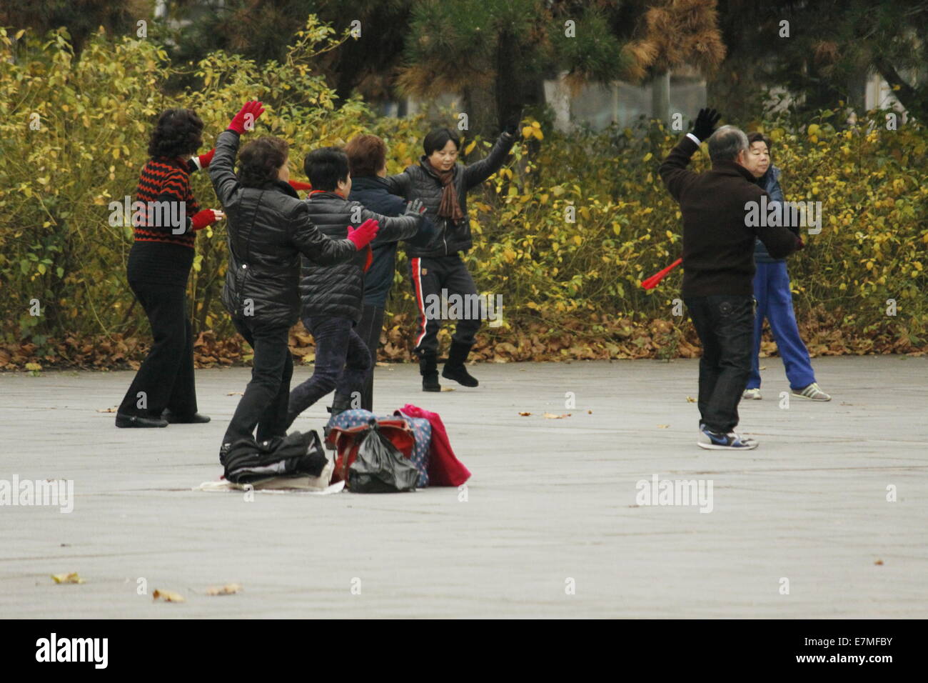 El pueblo chino practicando tai chi en el Parc de la Villette Cité des Sciences et de l'Industrie, Paris, Francia. Foto de stock