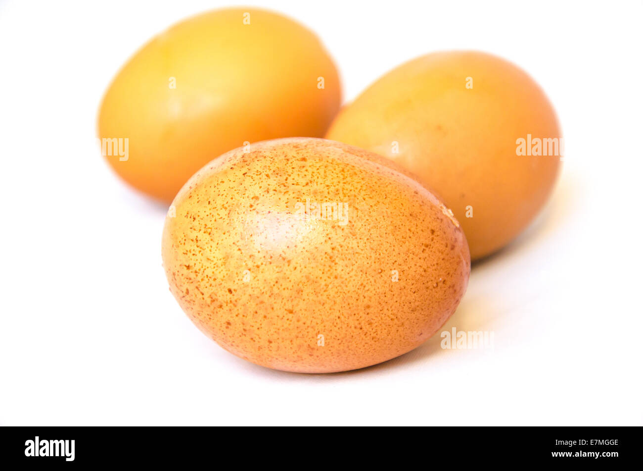 Huevo de pollo marrón sobre fondo blanco. Foto de stock