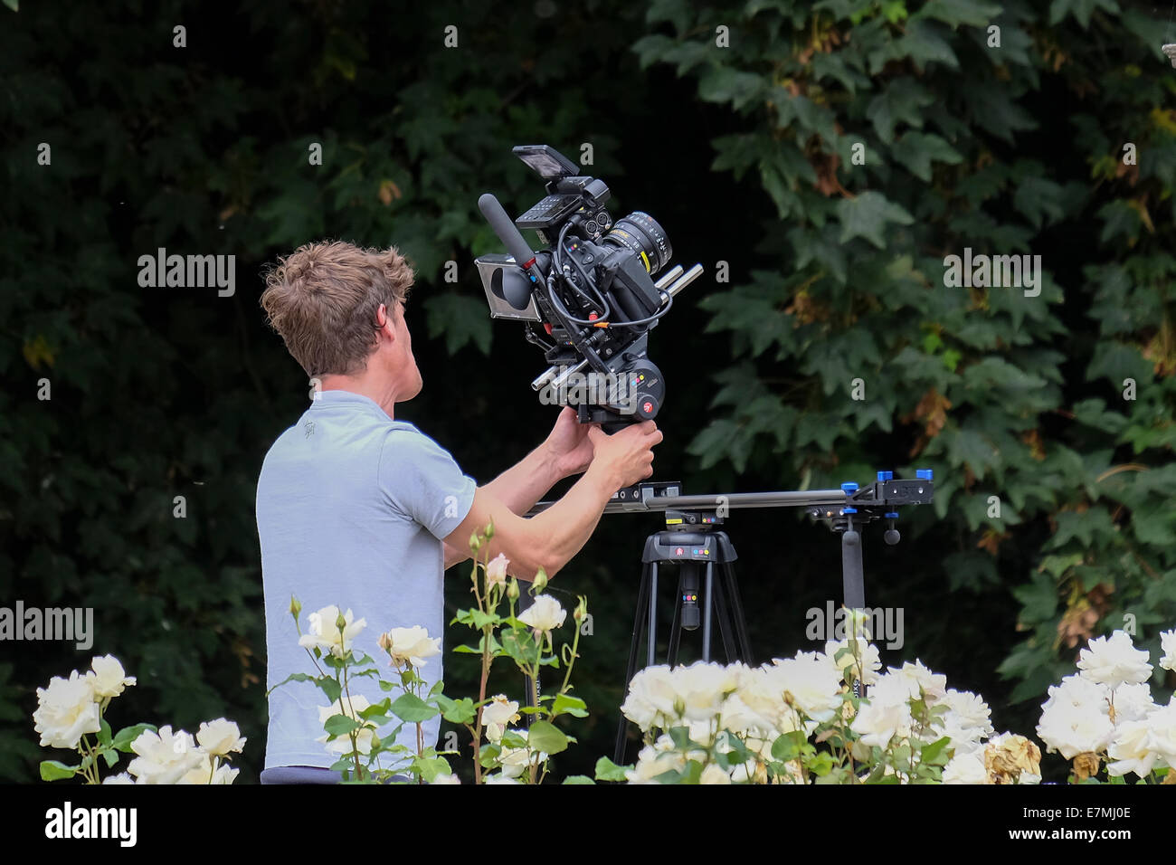 El camarógrafo filmando en el área de jardín con equipos de vídeo profesionales Foto de stock