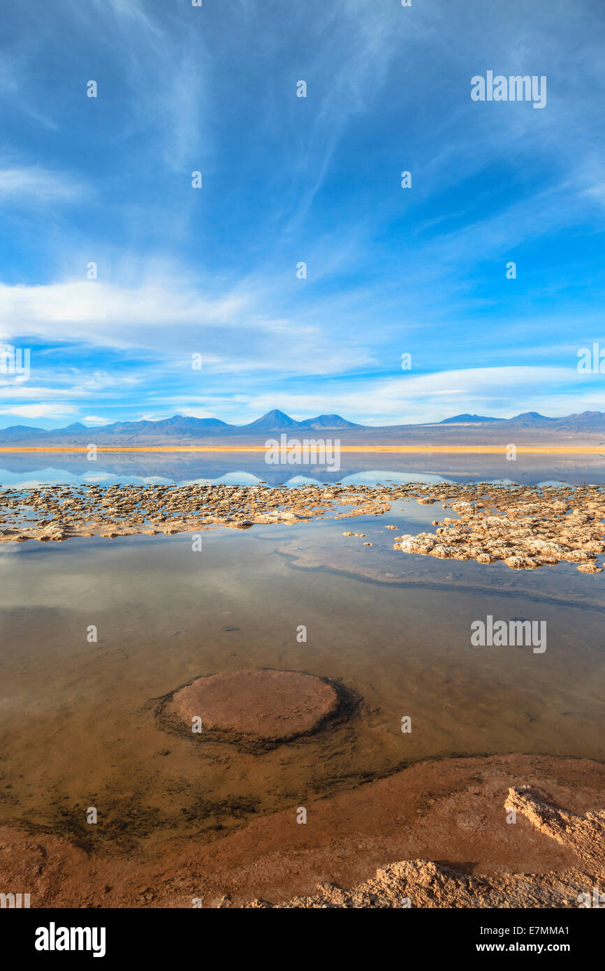 Chile, El Norte Grande, la Región de Antofagasta, el Salar de Atacama, Laguna Tebinquinche en horario diurno Foto de stock