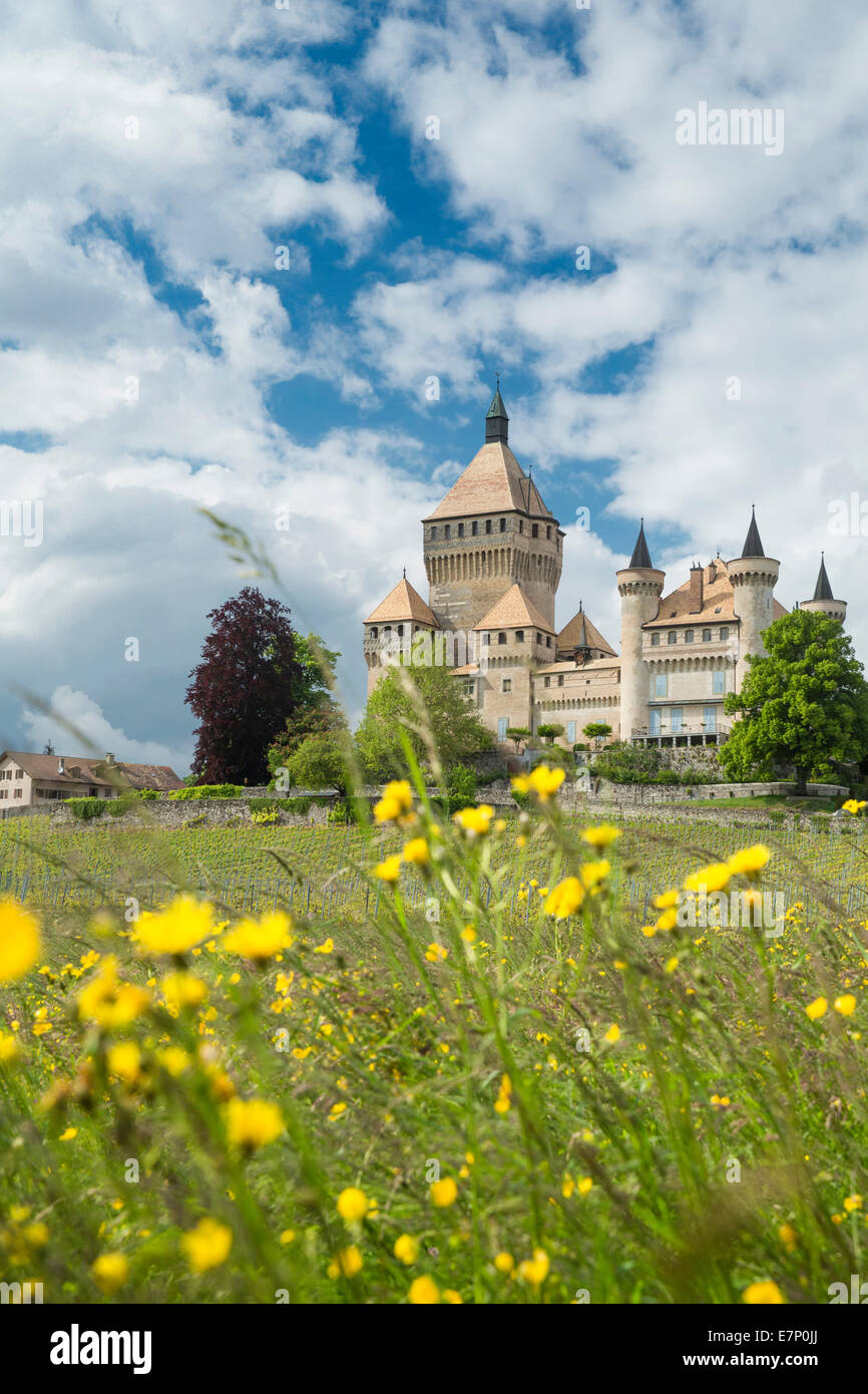 La Cote, Vufflens-le-Chateau VD, cantón, VD, Vaud, Suiza occidental, Romandía, el lago de Ginebra, el castillo, Suiza, Europa Foto de stock