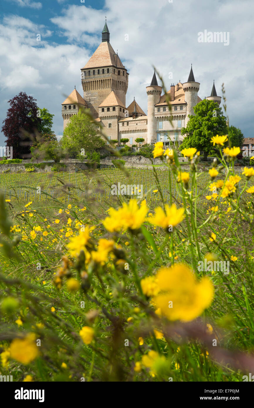 La Cote, Vufflens-le-Chateau VD, cantón, VD, Vaud, Suiza occidental, Romandía, el lago de Ginebra, el castillo, Suiza, Europa Foto de stock