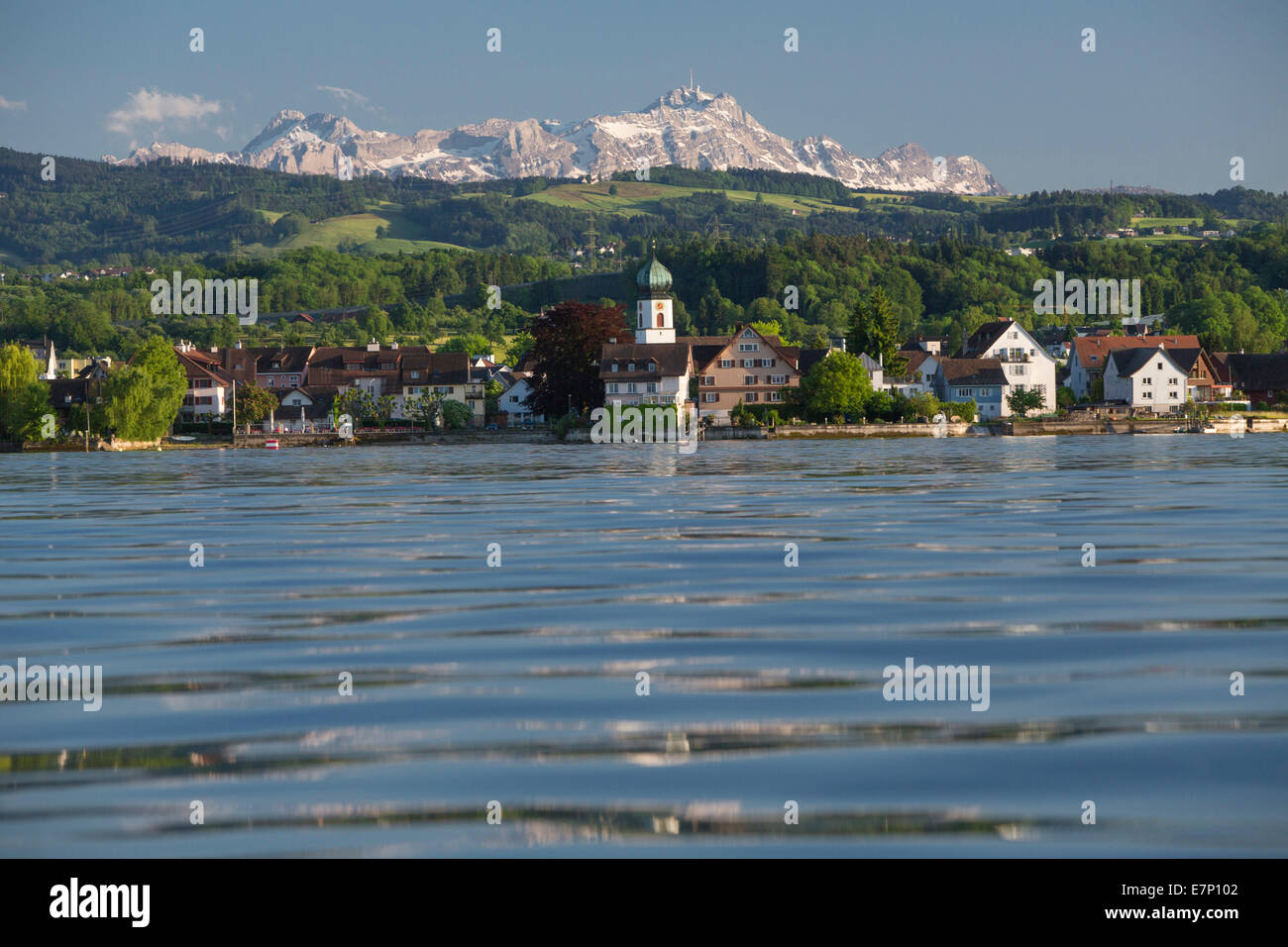 El lago de Constanza, Steinach AG, Säntis, aldea, Lago, lagos, SG, en el cantón de San Gallen, Suiza, Europa Foto de stock