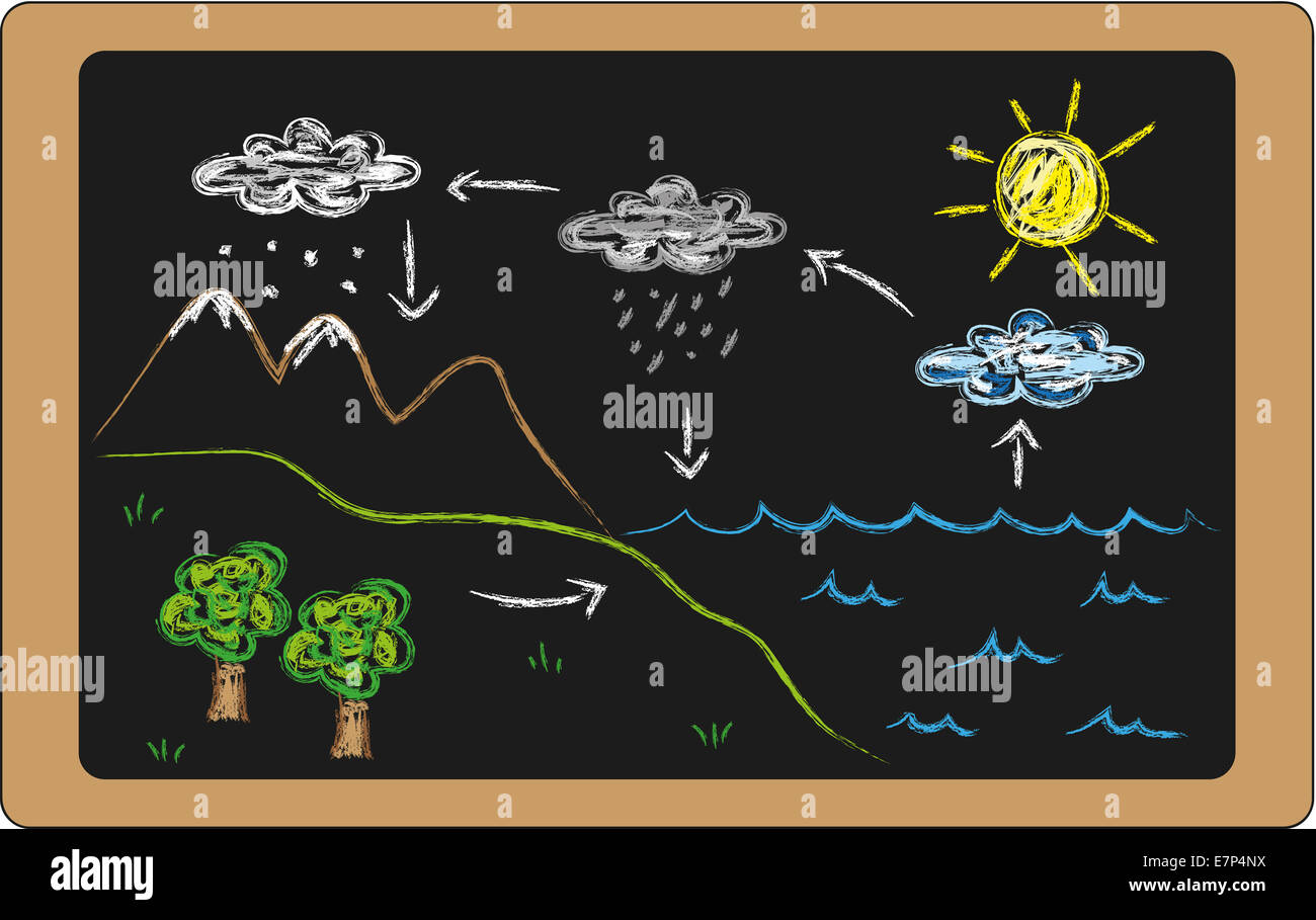 Ilustración del ciclo del agua en la pizarra Fotografía de stock - Alamy