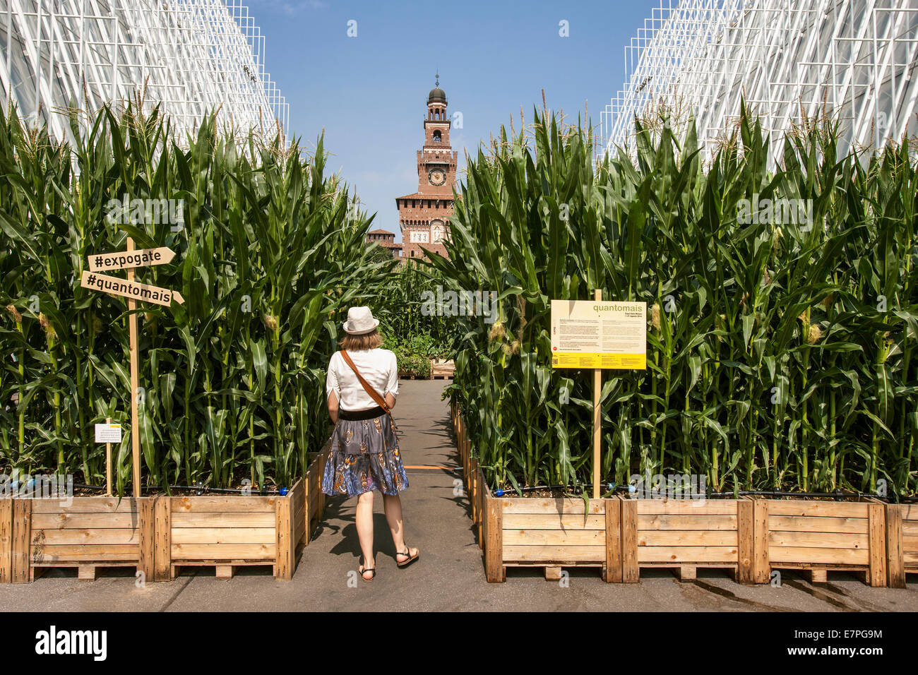 Milán, la Expo 2015, Feria EXPOGATE, Universal, el castillo Sforzesco, city gate, Infopoint, signpost, maíz parterres, mujer, Italia Foto de stock