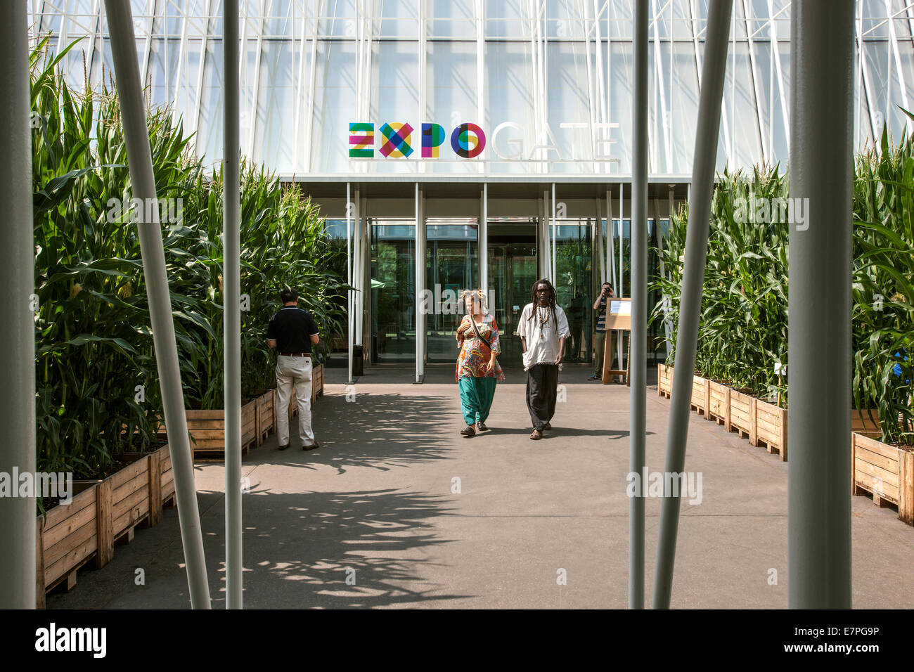 Milán, la Expo 2015, EXPOGATE, entrada, feria, Exposición Universal, GATE, Infopoint, maíz parterres, gente, Lombardía, Italia Foto de stock